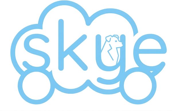 SkyeBus Logo